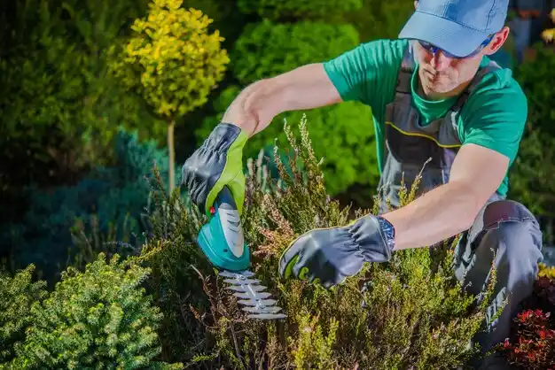 landscaping services Kahoka